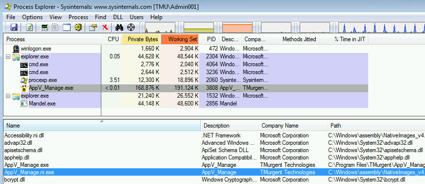 Process Explorer showing a process using a Native Image